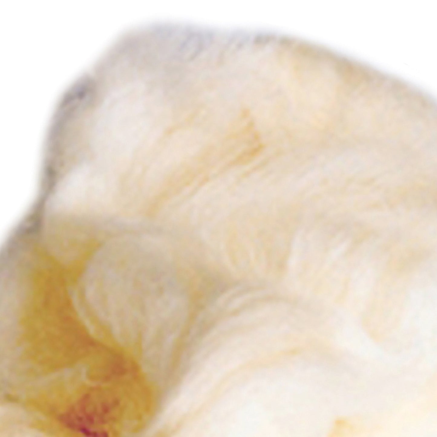 McKesson Lamb's Wool, 4 oz.