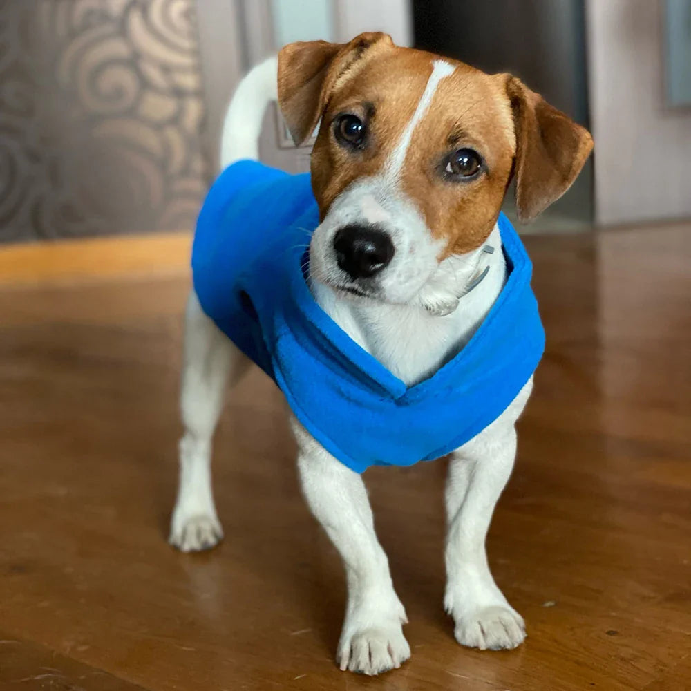 Fleece Winter Pet Clothes for Small Dogs Yorkshire Terrier Costumes Puppy T-Shirt Dogs Cat Vests Chihuahua French Bulldog Poodle [PET]