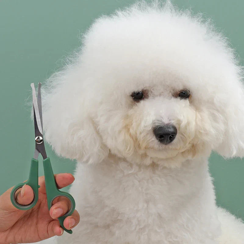 Professional Dogs Hair Scissor Stainless Steel Scissors with Round Tip Pets Cat Dog Durable Safety Hair Dog Grooming Accessories [PET]