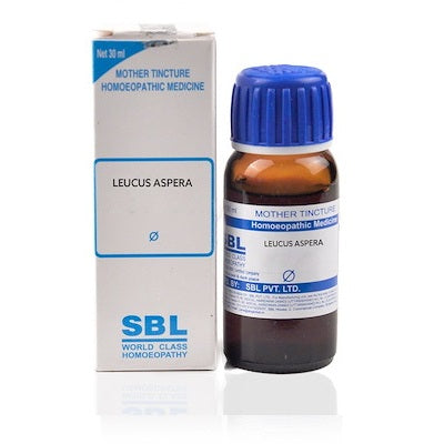 Leucas Aspera Homeopathy Mother Tincture