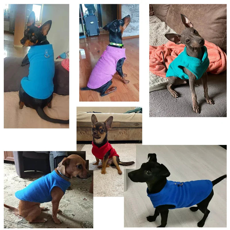 Winter Fleece Pet Dog Clothes Puppy Clothing French Bulldog Coat Pug Costumes Jacket Vest [PET]