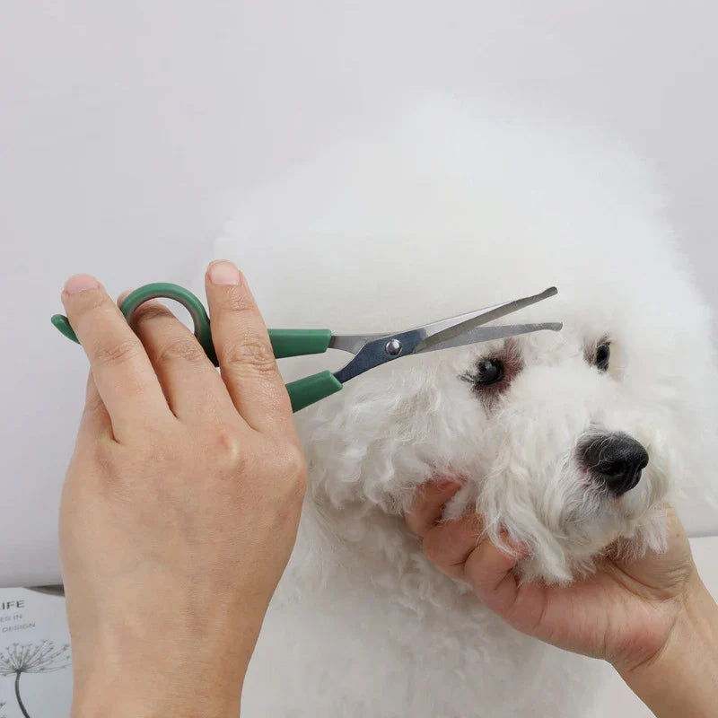 Professional Dogs Hair Scissor Stainless Steel Scissors with Round Tip Pets Cat Dog Durable Safety Hair Dog Grooming Accessories [PET]