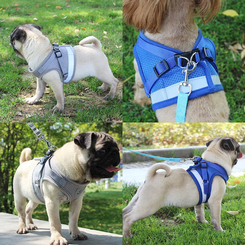 Reflective Safety Pet Dog Harness Leash Set Small Medium Dogs Cat Vest Puppy Chest Strap [PET]