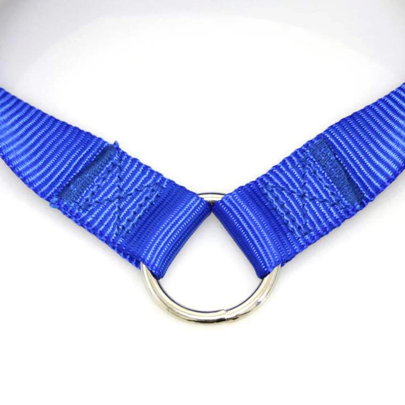 Double Twin Dual Coupler Dog Leash Two in One Strong Nylon V Shape Pet Dog Leash Colorful Two Ways Pet Lead [PET]