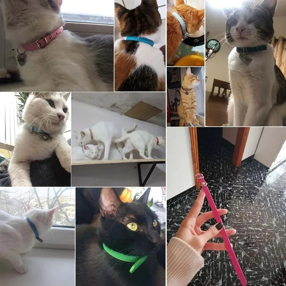 Colorful Leather Puppy Cat Collar Cute Kitten Necklace Name Personalized Collar for Cats Dogs Pet Supplies Accessories Harness [PET]